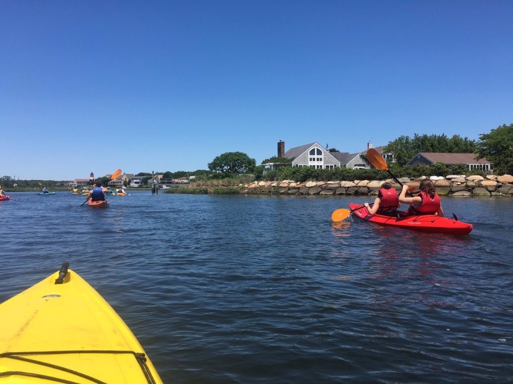 kayak tours cape cod